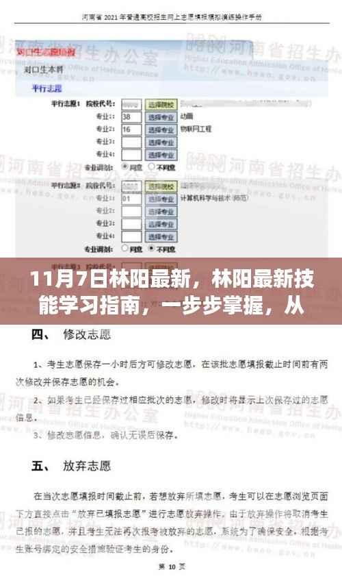 林阳最新技能学习指南,从零起步,掌握林阳最新技能(11月7日更新)