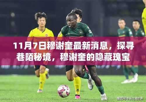 穆谢奎最新消息揭秘,探寻巷陌秘境,发现隐藏瑰宝与独特饕餮之旅(11月7日)