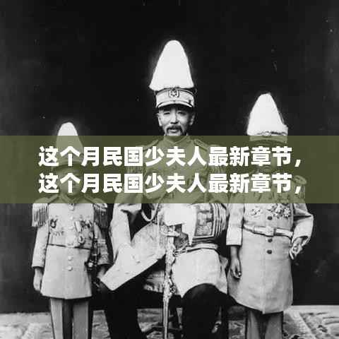 最新章节深度测评与介绍,民国少夫人本月更新概览