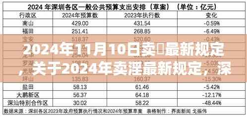 关于卖淫行为的深度解读与最新规定(2024年)