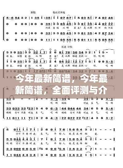 今年最新简谱,全面评测与详细介绍