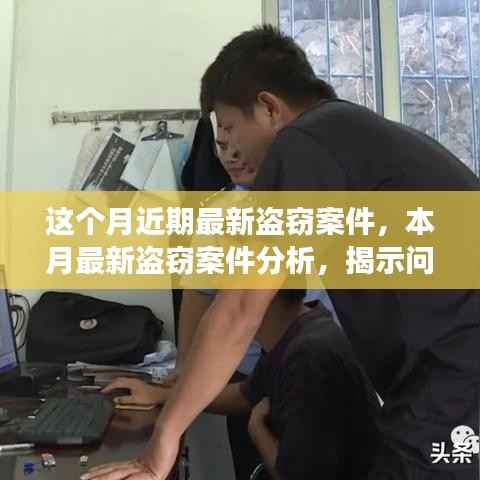 本月盗窃案件分析与探讨,揭示真相,立场鲜明