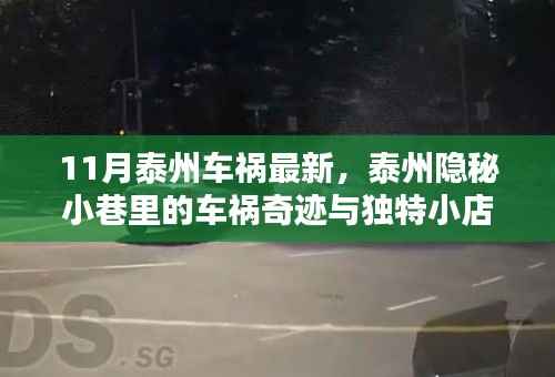 泰州车祸奇迹揭秘,小巷车祸与独特小店探秘