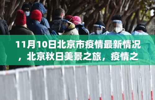 北京秋日美景之旅,疫情下的最新情况与内心的宁静与力量探寻