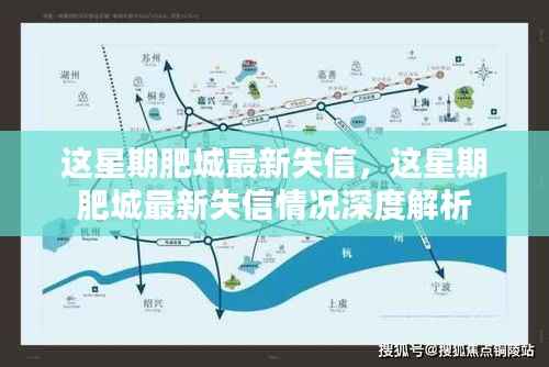 肥城最新失信情况深度解析及一周失信名单更新