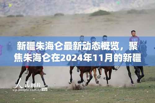 新疆朱海仑最新动态概览,聚焦朱海仑在2024年11月的新疆活动消息