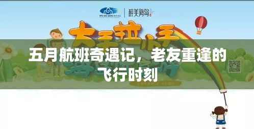 五月航班奇遇记,老友重逢的飞行时刻