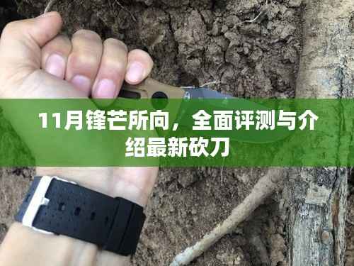11月锋芒所向,全面评测与介绍最新砍刀
