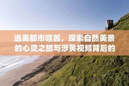 风华绝代 第3页