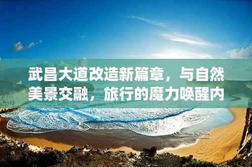 武昌大道改造新篇章,与自然美景交融,旅行的魔力唤醒内心平静