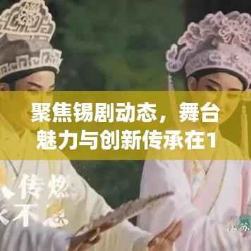 聚焦锡剧动态,舞台魅力与创新传承在11月14日的闪耀展现