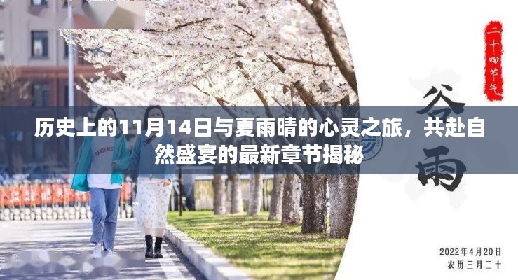 历史上的11月14日与夏雨晴的心灵之旅,共赴自然盛宴的最新章节揭秘