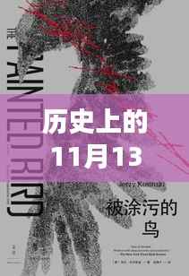 历史上的11月13日,雷子琛的奇妙自然之旅与内心的宁静和谐探索