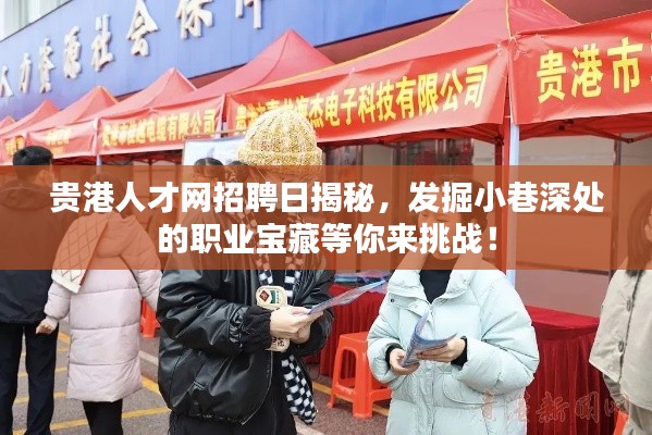 贵港人才网招聘日揭秘,发掘小巷深处的职业宝藏等你来挑战!
