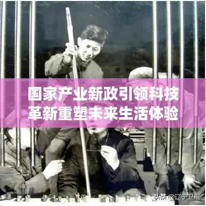 走马观花 第3页