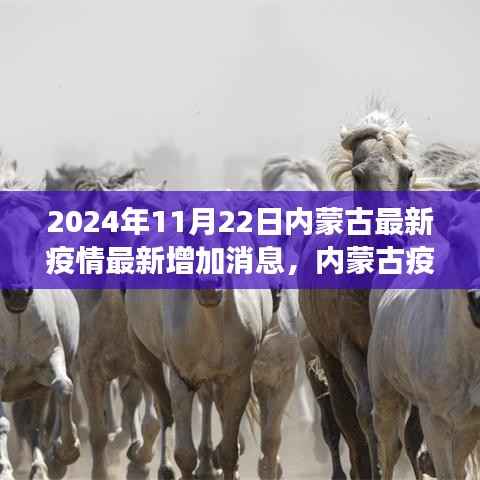 内蒙古疫情下的温情日常,友情力量与最新疫情消息