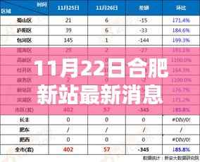 合肥新站11月22日最新动态,揭示深远影响与重要地位