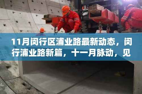 闵行浦业路11月最新动态,蜕变之路,见证十一月脉动新篇章