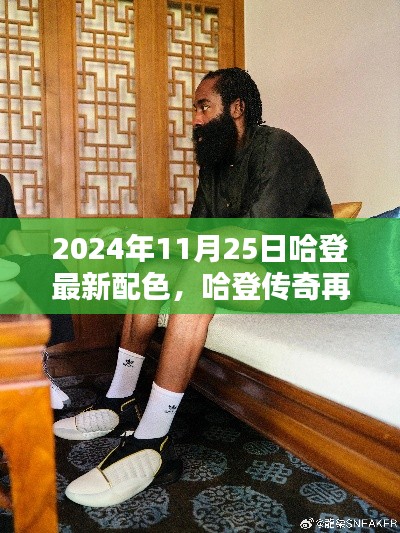 哈登传奇再添新色,揭秘2024年11月25日最新配色时代印记