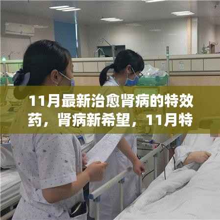 肾病新突破,11月特效药重塑肾病患者生活篇章