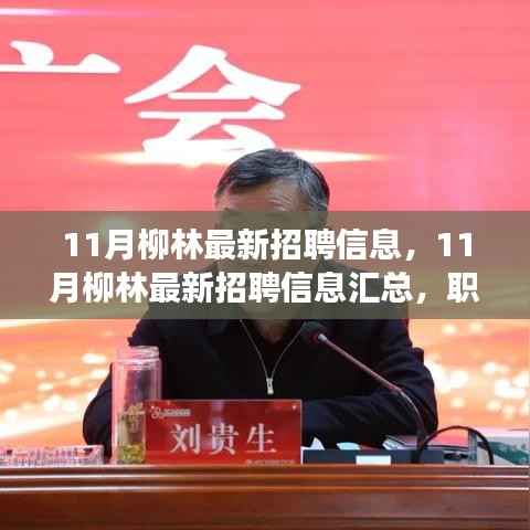 11月柳林最新招聘信息汇总,职场精英的黄金机遇