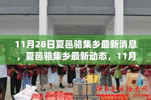 夏邑骆集乡最新动态深度观察与影响报道(11月28日更新)