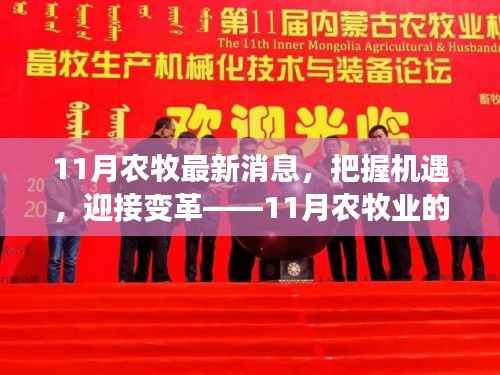 把握农牧变革机遇,11月农牧业新篇章,自信成就未来