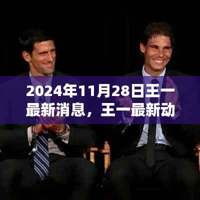 项目介绍 第505页