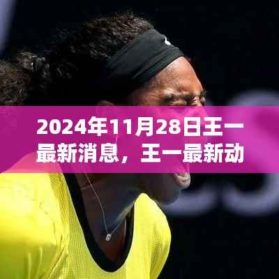 王一最新动态揭秘,星光闪耀的2024年11月28日回顾与展望
