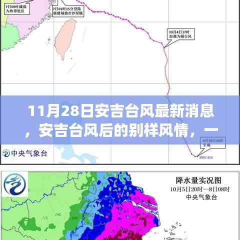 安吉台风后绿色探险之旅,寻找内心平静的别样风情之旅