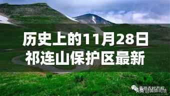 探寻祁连山保护区新政策,揭秘历史背后的宝藏小店与最新动态(11月28日)