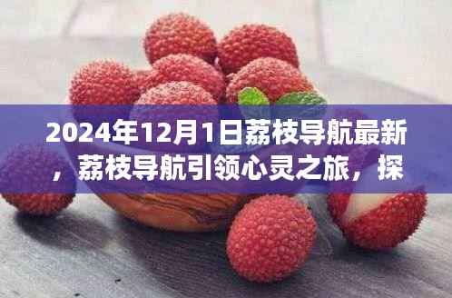 荔枝导航引领心灵之旅,探索自然美景,开启内心平静之旅
