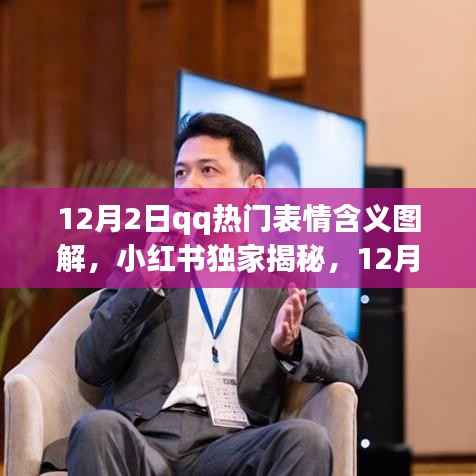 小红书独家揭秘,12月2日QQ热门表情含义图解大全及图解大全介绍