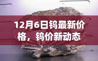 钨价新动态,学习之旅中的自信与成就闪耀时刻