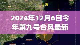 台风九号下的美食秘境,探寻巷弄深处的独特风味