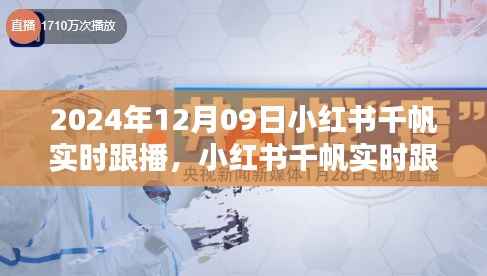 小红书千帆实时跟播体验评测报告,深度体验与报告分享(附日期)