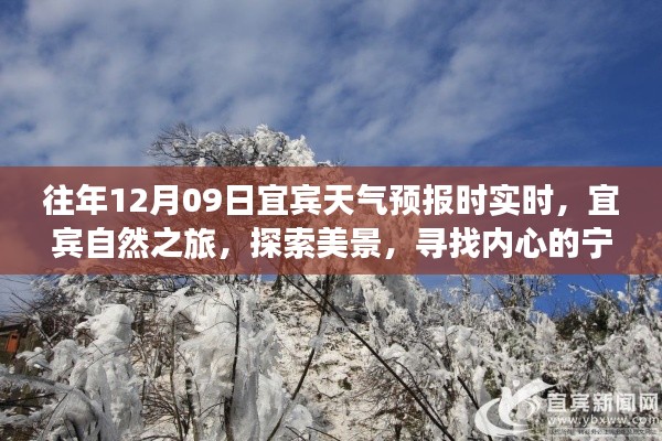 宜宾探索之旅,寻找宁静与和谐的自然美景天气预报实时播报