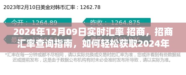 2024年12月09日实时汇率解析,招商汇率查询指南与轻松获取汇率信息