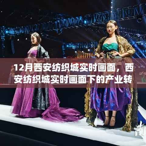 西安纺织城产业转型与未来展望,实时画面下的深度探讨