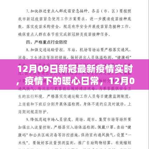 12月09日新冠最新疫情实时，阳光下的希望之旅与暖心日常