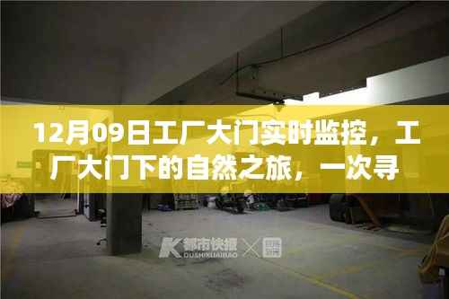 工厂大门下的自然之旅,寻找内心平静的奇妙探险与实时监控记录