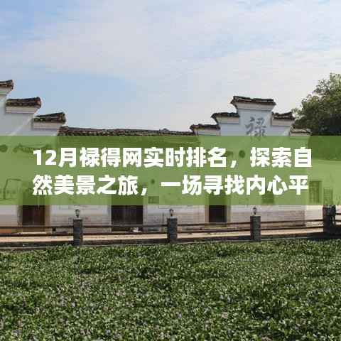 探索自然美景之旅,十二月禄得网实时排名与心灵之旅的启程