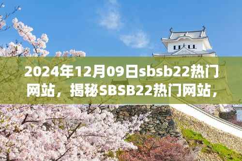 揭秘SBSB22热门网站,一场充满惊喜的视听盛宴背后的犯罪问题?