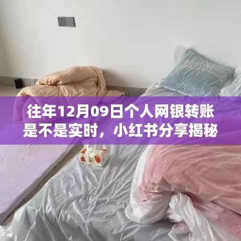 揭秘往年12月09日个人网银转账实时到账真相,小红书分享全解析!
