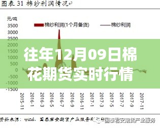 笼鸟槛猿 第2页