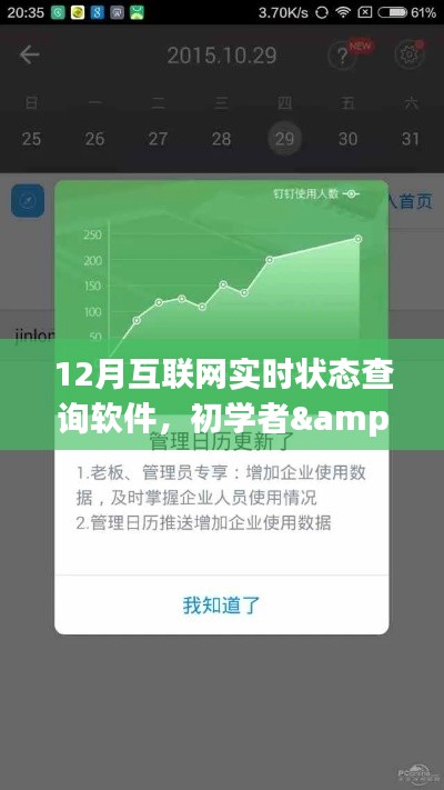 初学者与进阶用户通用,12月互联网实时状态查询软件使用详解与指南