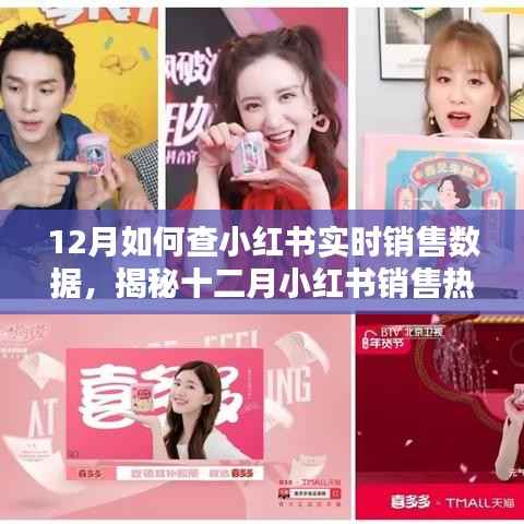 揭秘十二月小红书销售热潮,实时数据查询方法与技巧,洞悉销售趋势的秘诀!
