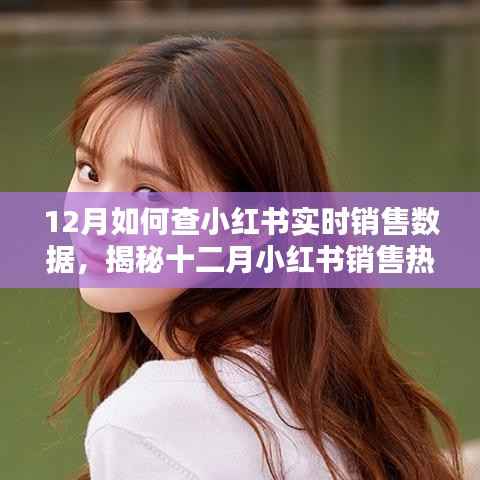 揭秘十二月小红书销售热潮,实时数据查询方法与技巧,洞悉销售趋势的秘诀!