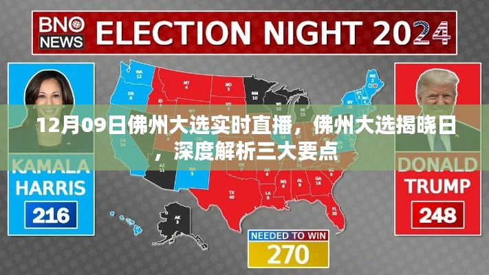 佛州大选揭晓日,深度解析三大要点及实时直播动态