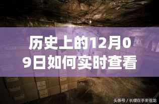 探秘特色小店库存奥秘，实时查看库存量，揭秘小巷深处的宝藏之旅。